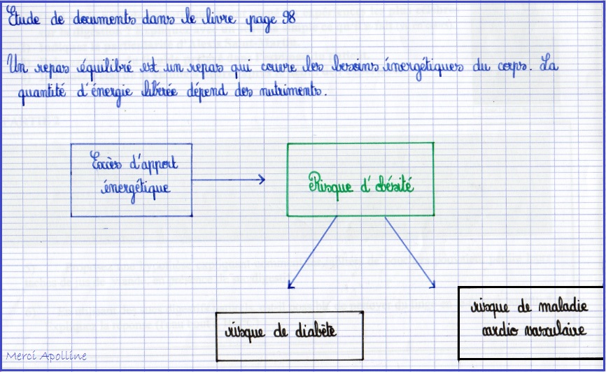 La digestion des aliments - Cours SVT 5ème