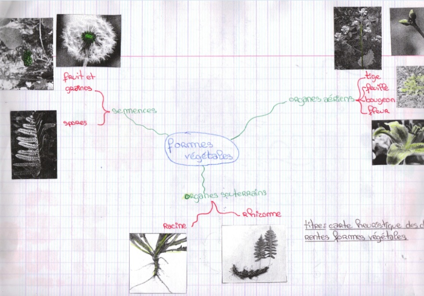 L Occupation Du Milieu Au Cours Des Saisons Cours De Svt 6eme Vive Les Svt Les Sciences De La Vie Et De La Terre Au College Et Au Lycee