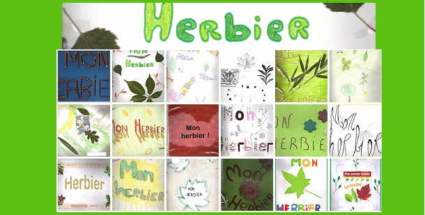 Herbier : définition et explications