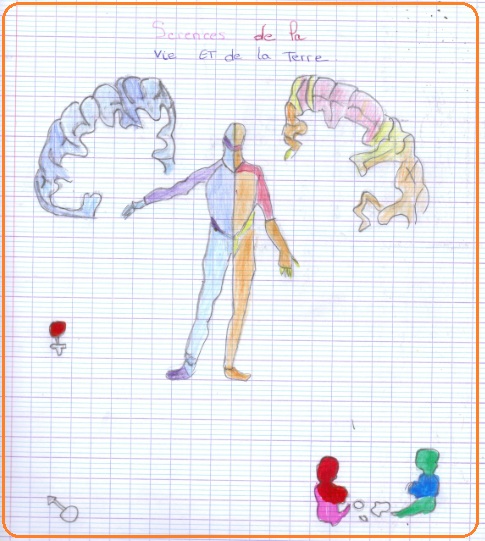 Illustrations Du Cahier Par Les 5èmes Vive Les Svt Les Sciences De