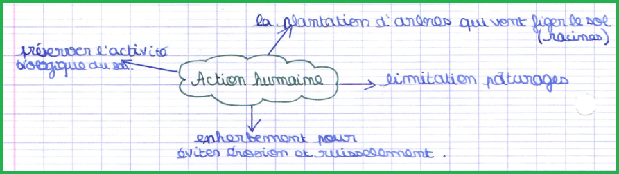 Le sol : un patrimoine durable ?  Vive les SVT ! Les sciences de la vie et  de la Terre au collège et au lycée - Cours de SVT en ligne 