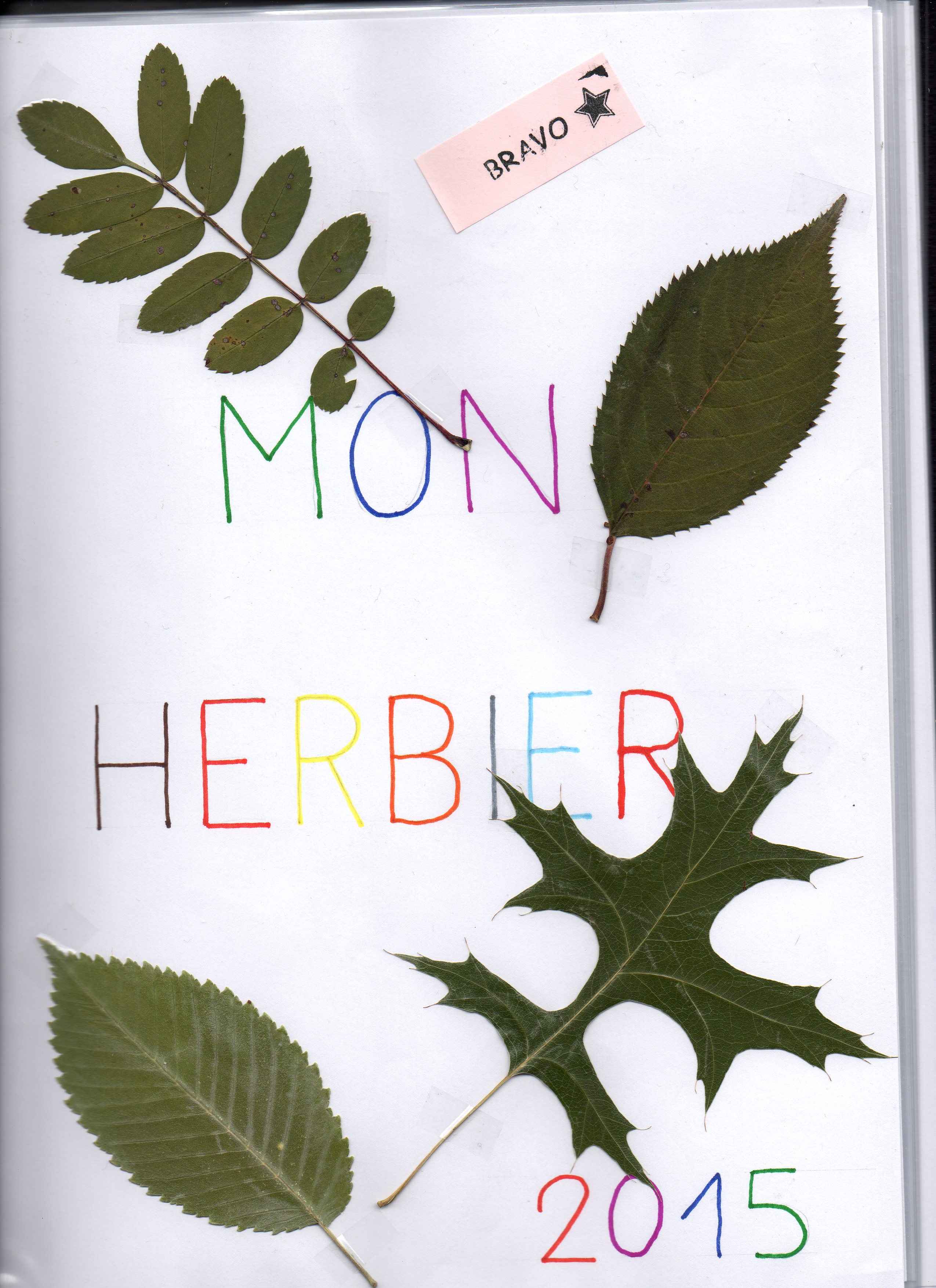 page presentation herbier