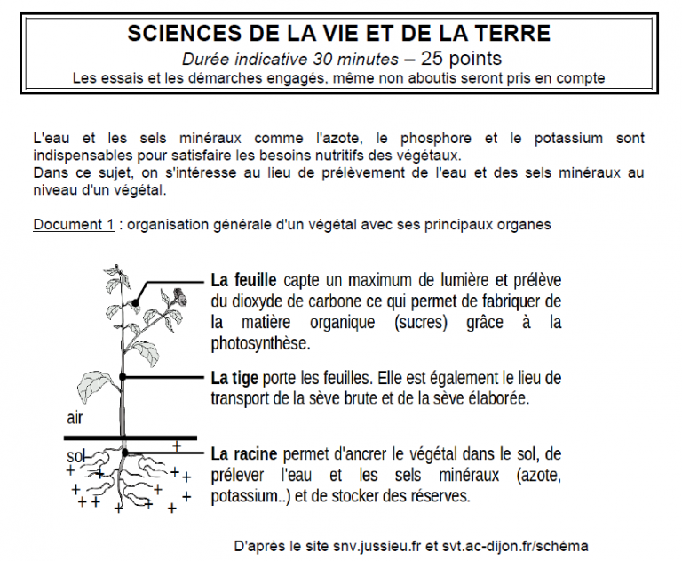 SUjet DNB SVT 2019 Métropole Brevet Des Collèges (1) | Vive Les SVT ...